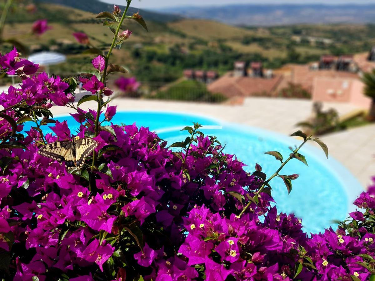 Residence Pala Stiddata With Panoramic Swimming Pool Trinità dʼAgultu 外观 照片